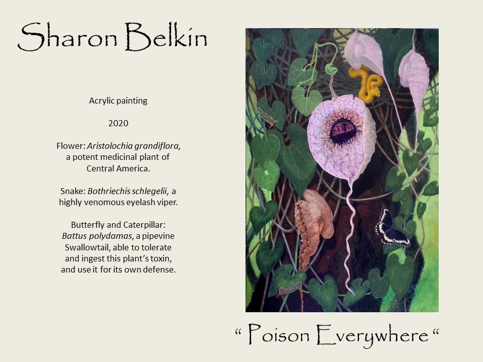 Sharon Belkin - Poison Everwhere - Acrylic painting