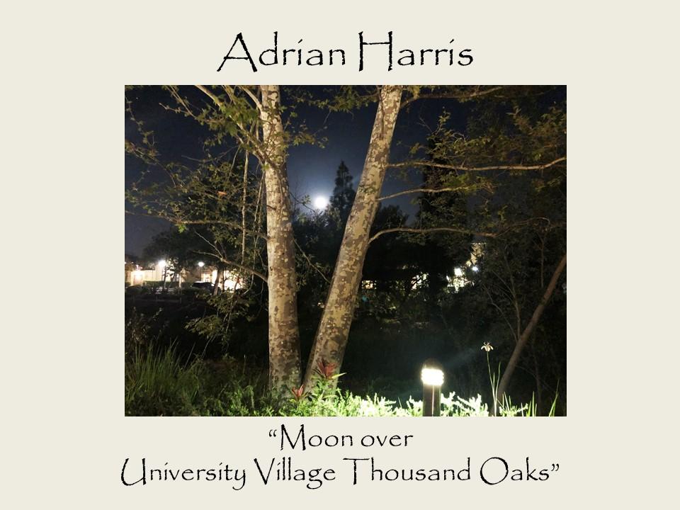 Adrian Harris - Moon over University Village Thousand Oaks photograph