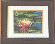 Framed painting of a pink water lily among lily pads