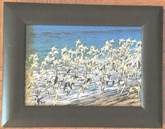 Framed painting of white birds gathered along a shoreline